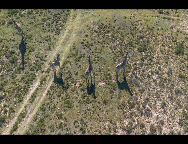 FARM FOR SALE IN GRAHAMSTOWN RURAL